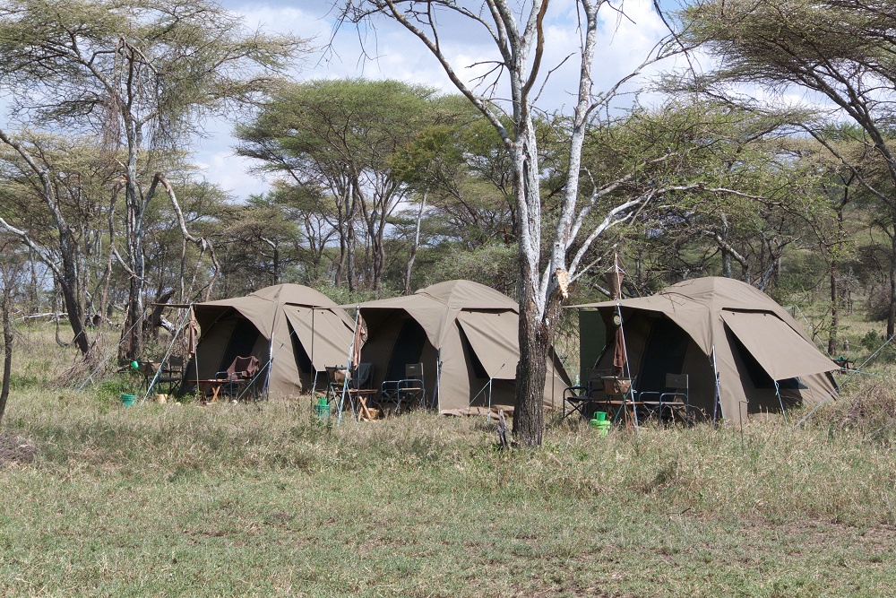 Tält i bushen. Mobil camp på special camp site Olobaye. (Södra Serengeti National Park, Tanzania)
