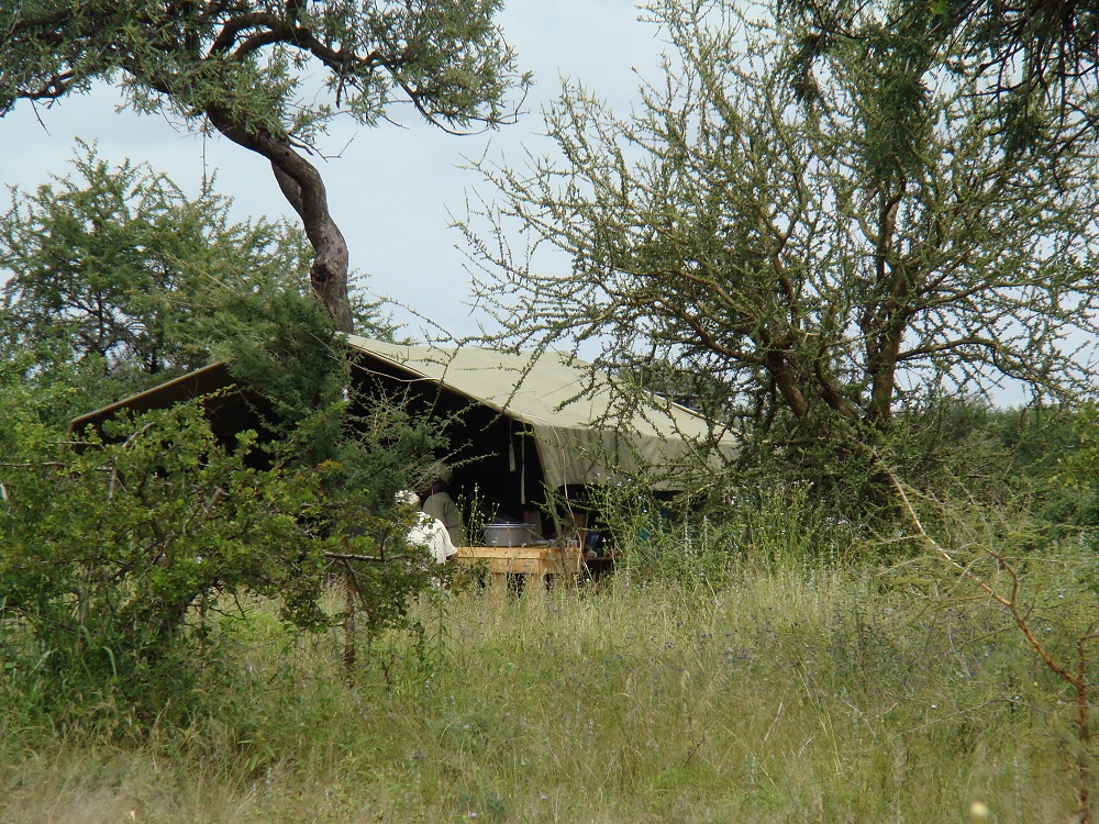 Kökstält på mobil camp. (Södra Serengeti National Park, Tanzania)