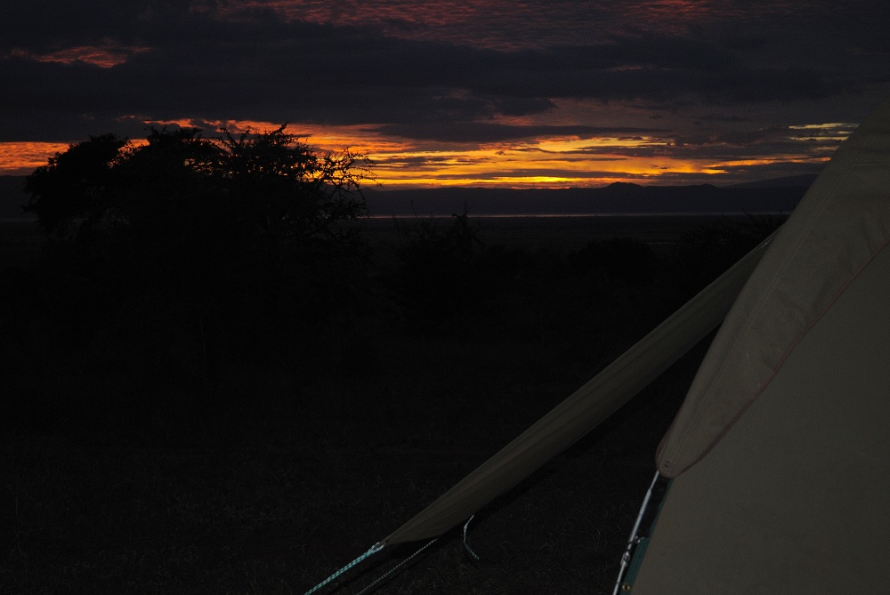 Tält på mobil camp i solnedgång. (Tarangire National Park, Tanzania)