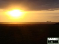 Soluppgång. (Södra Serengeti National Park, Tanzania)