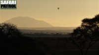 Safariballong. (Tarangire National Park, Tanzania)