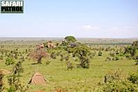 Mobil camp i Moru Kopjes. (Serengeti National Park, Tanzania)