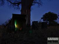 Natt på mobil camp. (Tarangire National Park, Tanzania)