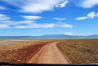 Bushväg norrut över kraterbottnen. (Ngorongorokratern, Tanzania)