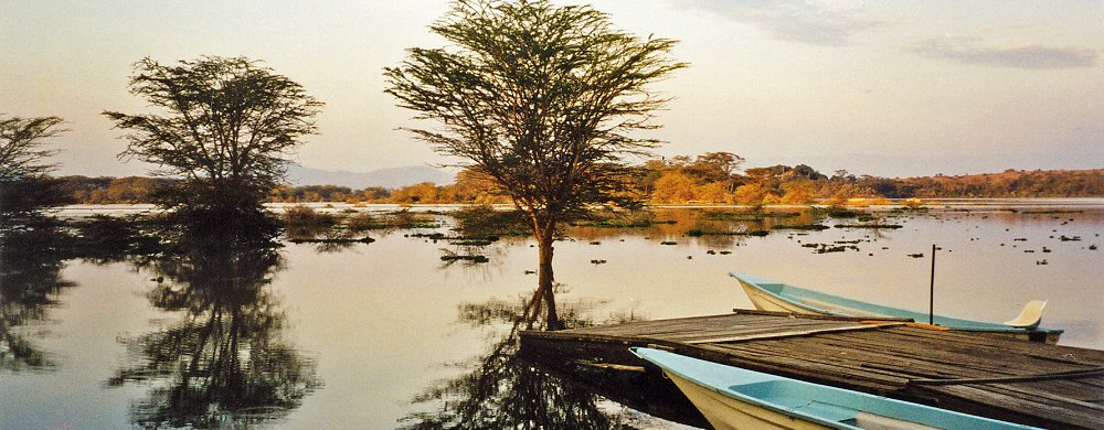 Sötvattensjön Lake Naivasha.