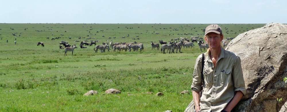 Safariguide och zebror i södra Serengeti.