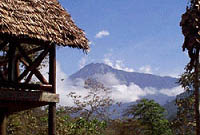 Utsikt över skogslandskap och Mount Meru.