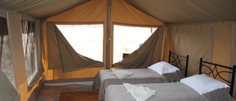 Tält på Kati Kati Tented Camp.