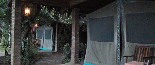 Fig Tree Camp