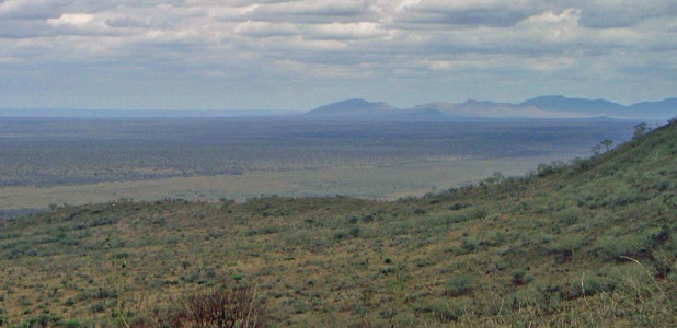 Mkomazi National Park.
