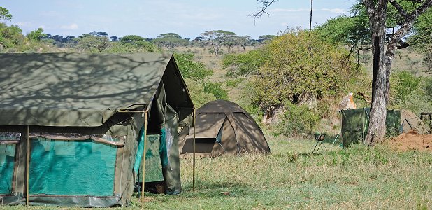 Mobil camp i centrala Serengeti.