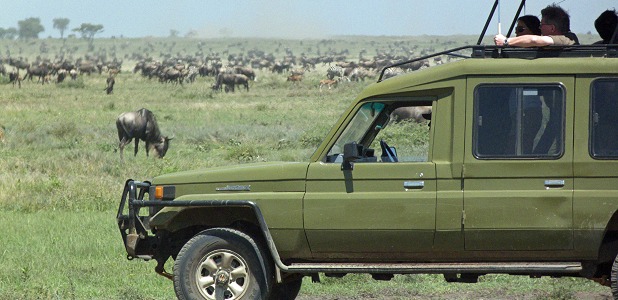 Djurskådning i södra Serengeti i Tanzania