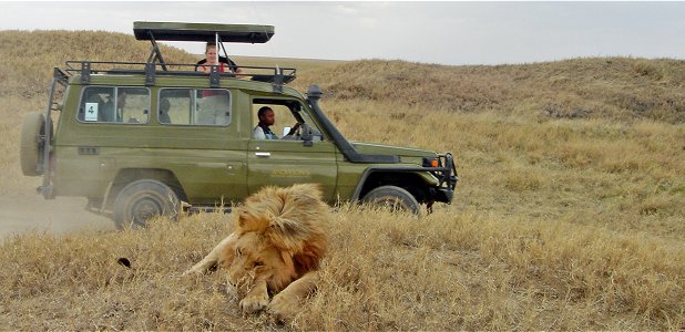 Landcruiser av grundmodell i Serengeti i Tanzania. 