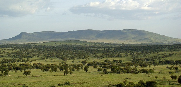 Vy över Loboområdet i norra Serengeti i Tanzania.