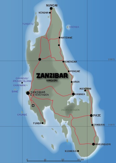 Visa karta över norra Tanzania